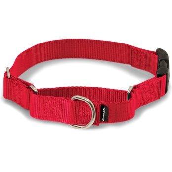 Dog Collars, Leashes & Harnesses - Dog Hugs Cat
