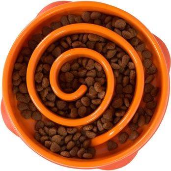 Dog Supplies - Dog Hugs Cat