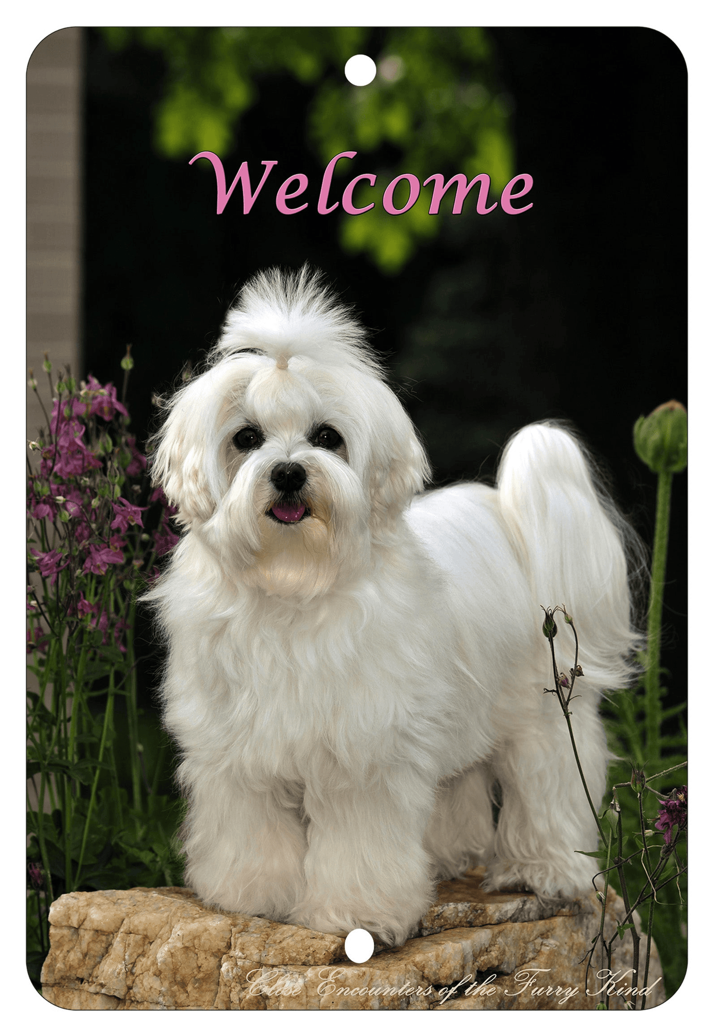 Maltese Best Of Breed Indoor/Outdoor Aluminium Sign