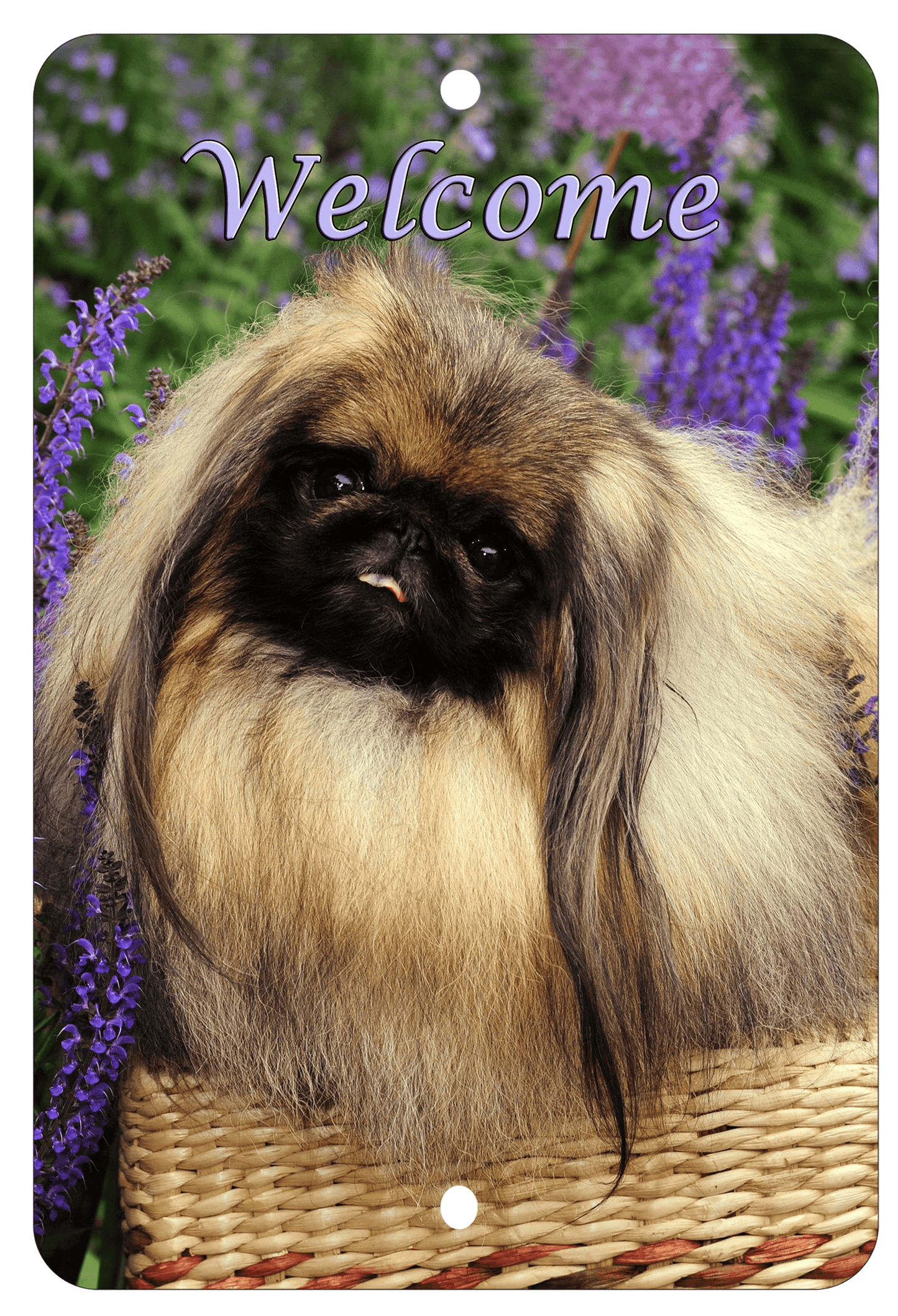 Pekingese Best Of Breed Aluminium Indoor/Outdoor Sign