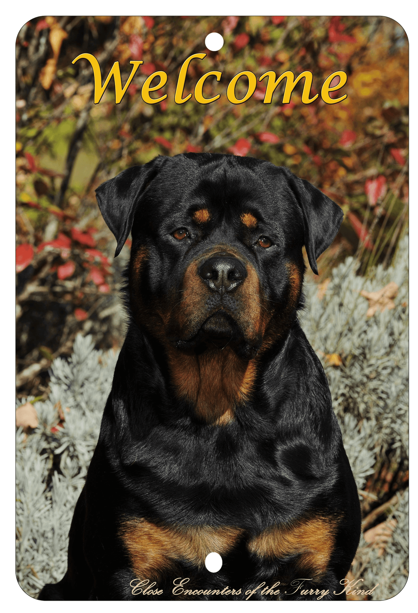 Rottweiler Best Of Breed Indoor/Outdoor Aluminium Sign