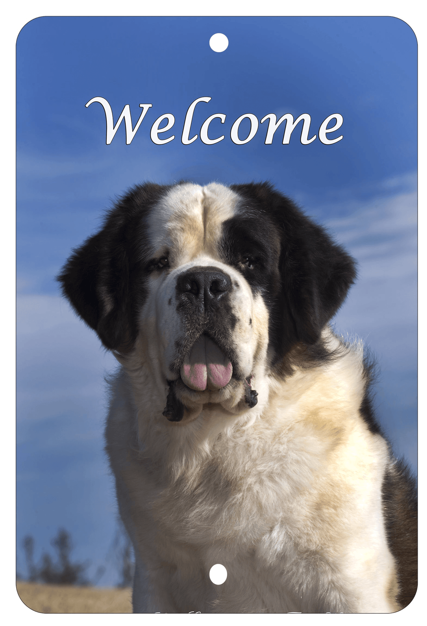 Saint Bernard Best Of Breed Aluminium Sign - Indoor/Outdoor 8"X12"