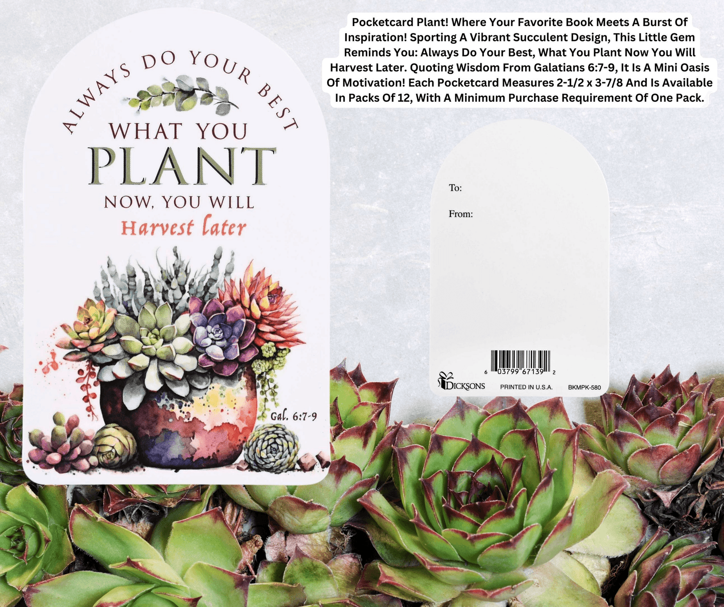Pocketcard Always Do Your Best - Inspirational Succulent Design