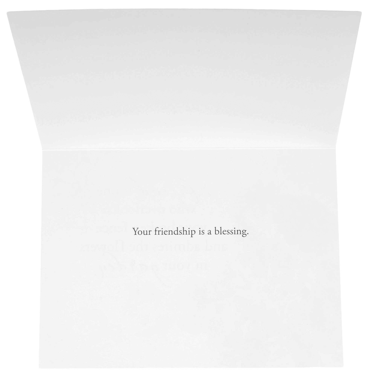 Blue Birds & Brights Friendship Card Set