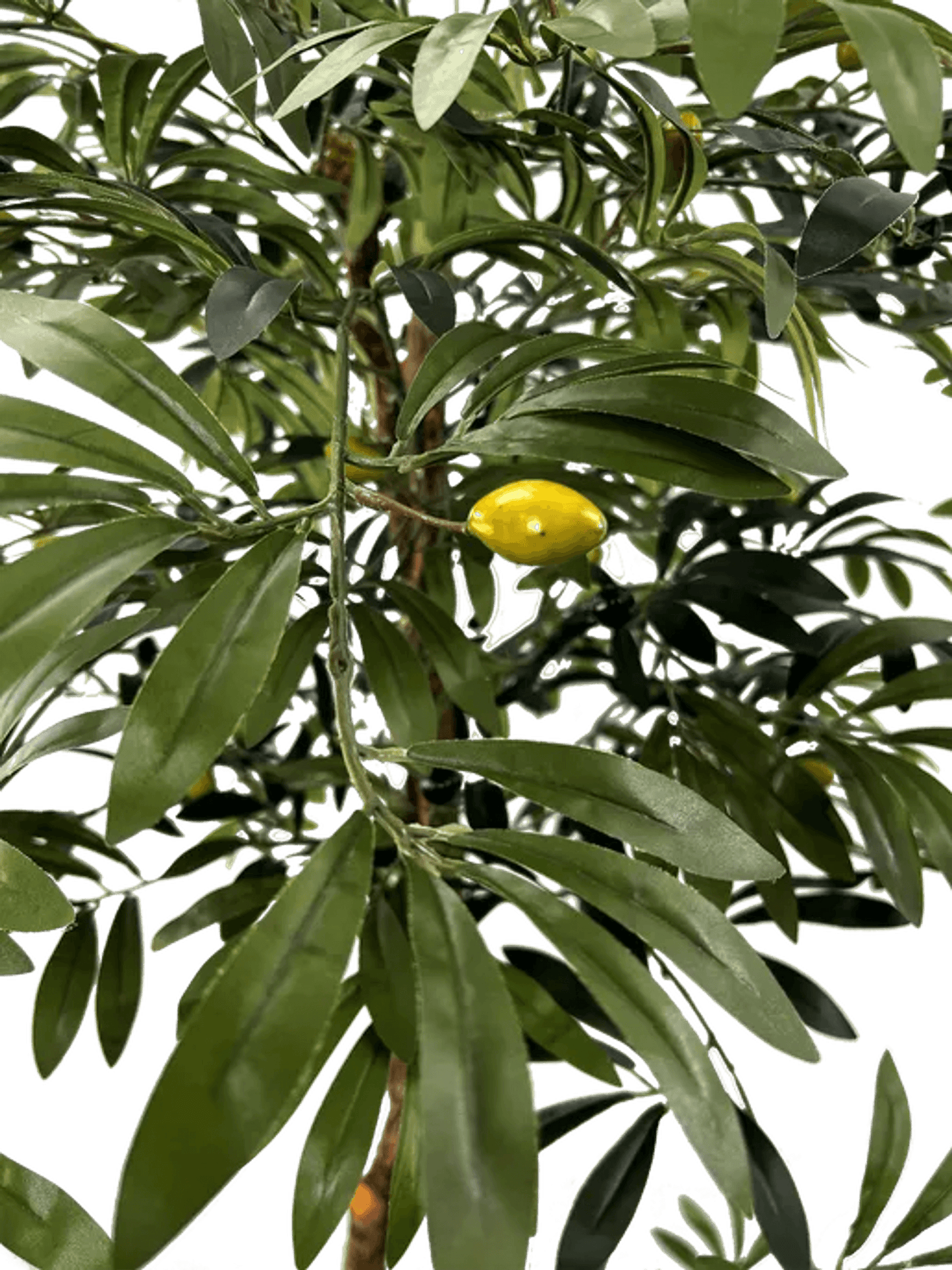 Lifelike 6' Artificial Mediterranean Olive Tree