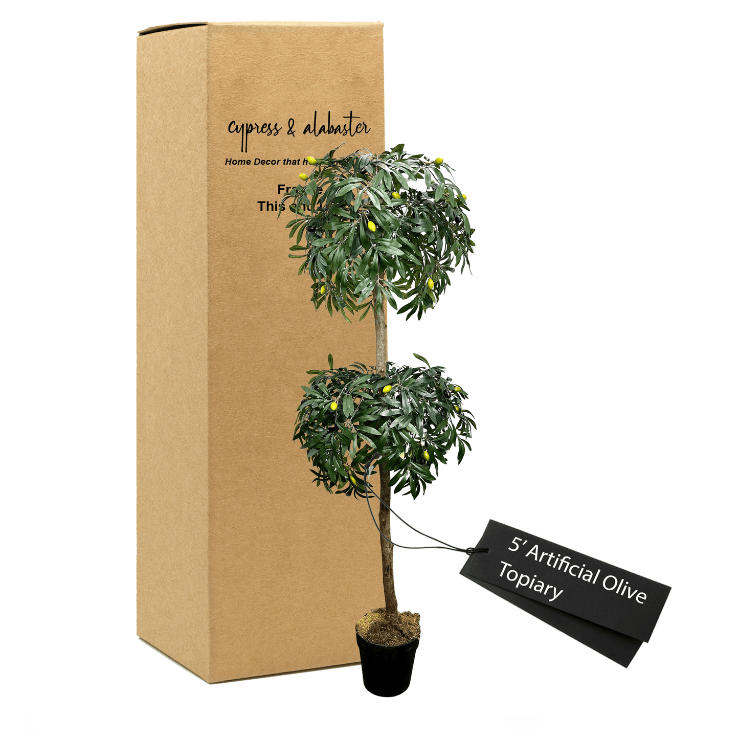 5' Lifelike Olive Topiary In Home Basics Pot