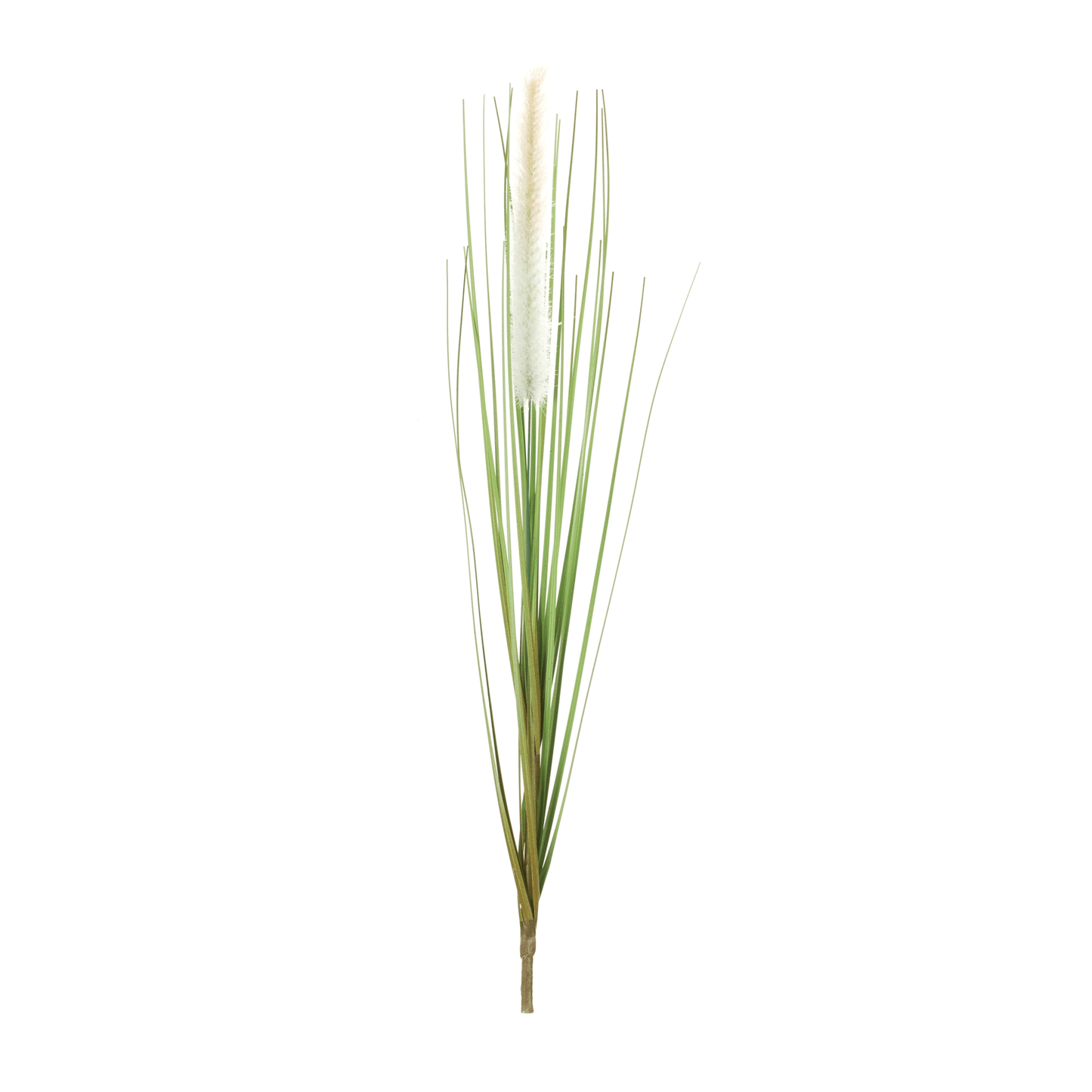 Elegant Foxtail Bush Set - 12 Timeless Stems