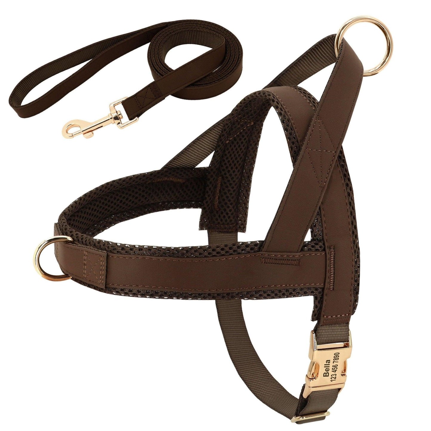 Customizable Pet Harness And Leash Set - Dog Hugs Cat