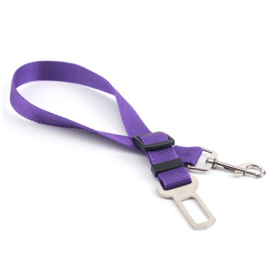 Fixed Strap Polyester Dog Strap Dog Leash Dog Leash - Dog Hugs Cat