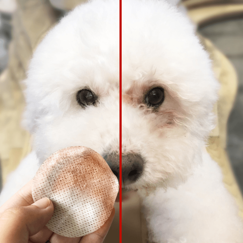 Pets To Tears Wipes Teddy Bear Xiong Bomei Cat Eyes Tear Stains Cleaning Paper Towels Pet Supplies 100 Pieces - Dog Hugs Cat
