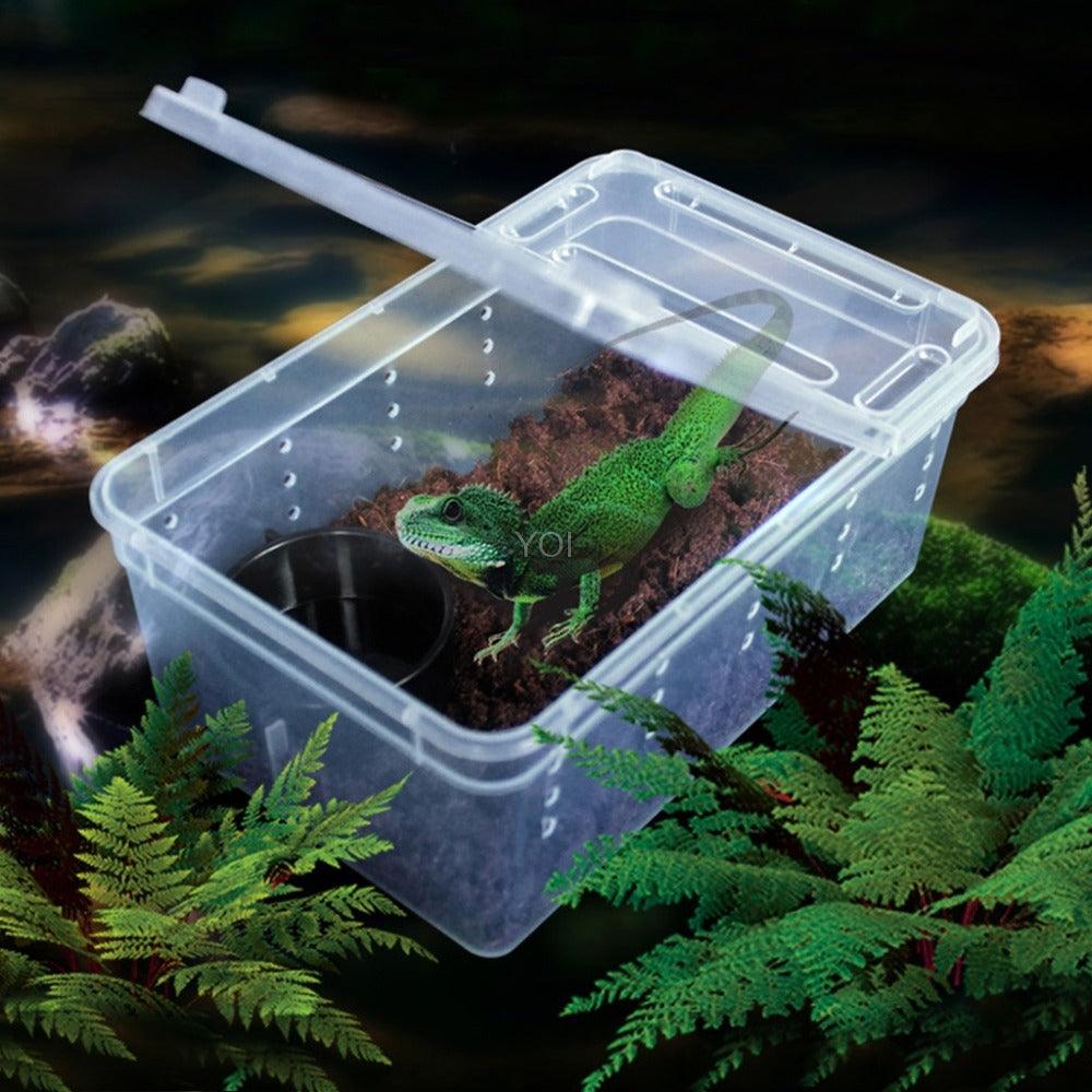 Plastic Transparent Reptile Feeding Box - Dog Hugs Cat