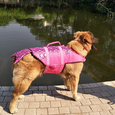 Pet Life Jacket Shark Mermaid Swimsuit - Dog Hugs Cat