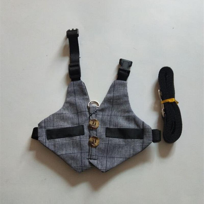 Rabbit Leash Rabbit Dress - Dog Hugs Cat