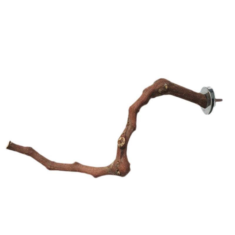 Add A Stand Pole To The Cage For Parrot Birds - Dog Hugs Cat