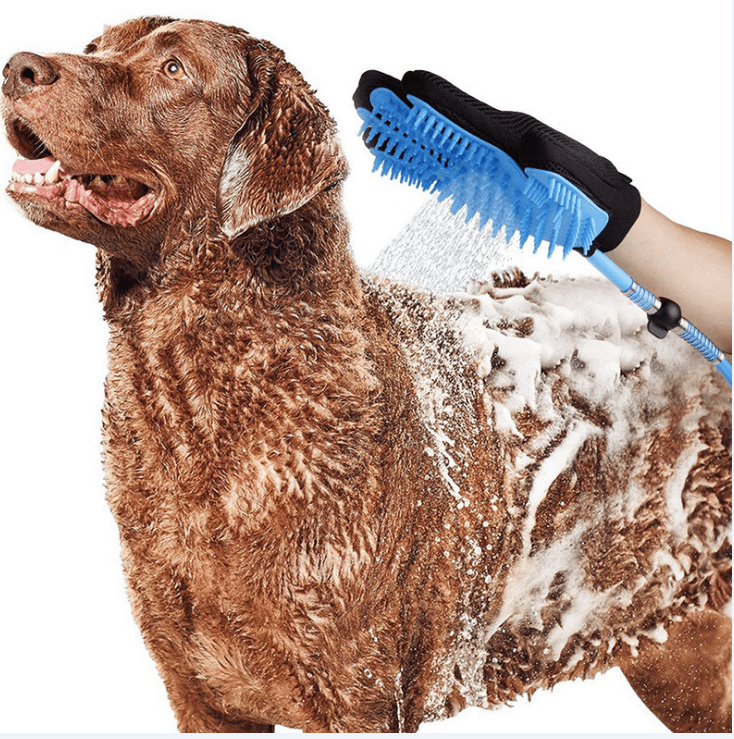 Pet Dog Shower Head Handheld Cat Bathing Shower Tool - Dog Hugs Cat