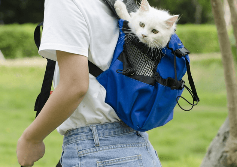 Ventilated And Breathable Pet Backpack - Dog Hugs Cat