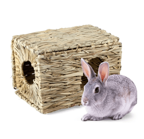 Rabbit Chinchilla Guinea Pig Hedgehog Grass Mat - Dog Hugs Cat