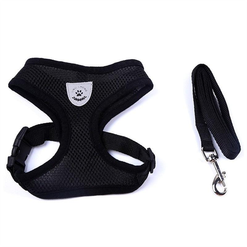 Pet Car Seat Belt Pet Leash - Dog Hugs Cat