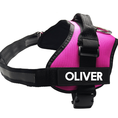 Pet Chest Harness Dog Leash Pet Supplies - Dog Hugs Cat