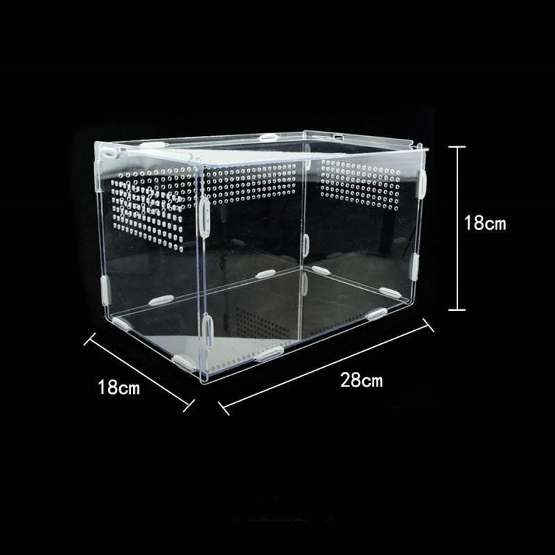Acrylic Reptile Feeding Habitat - Transparent Thermal Box - Dog Hugs Cat