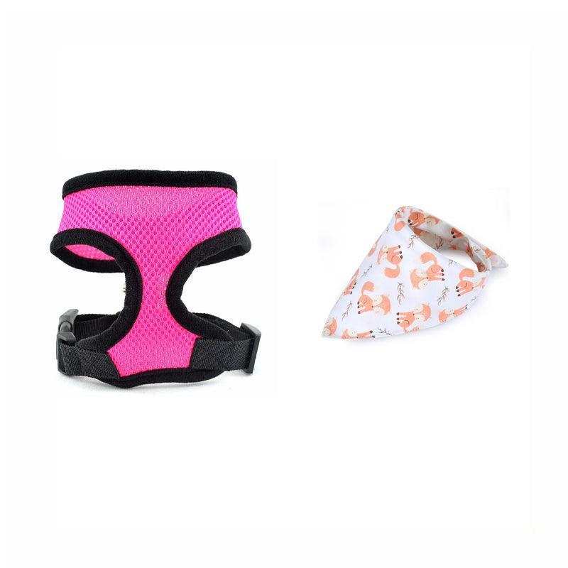 Adventure Duo: Harness and Bandana Set - Dog Hugs Cat