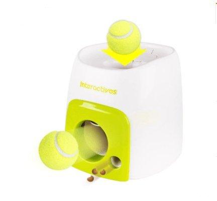 Automatic Pet Training and Feeding System - Dog Hugs Cat