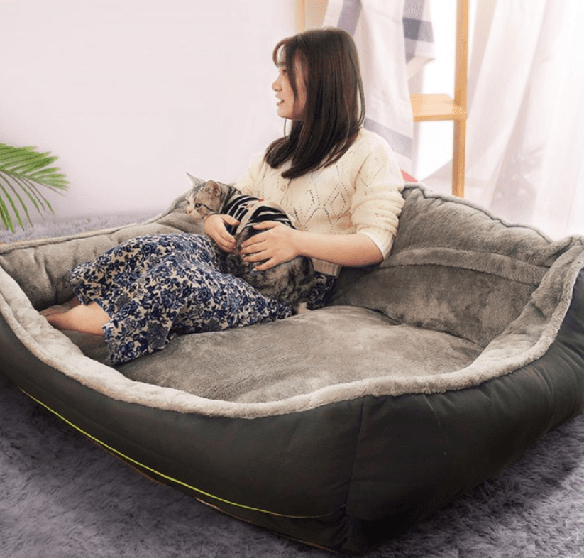 Dog Bed Sofa Bed - Dog Hugs Cat