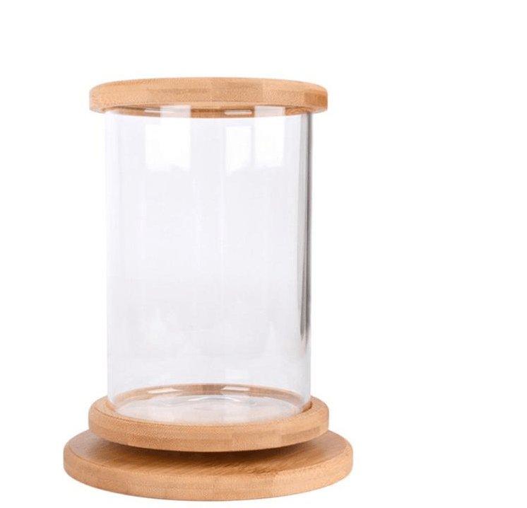 Bamboo Base Mini Glass Aquarium: A Stylish and Compact Fish Tank Decoration - Dog Hugs Cat