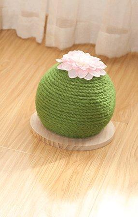 Cactus Paw-Purrfect Cat Grinding Toy - Dog Hugs Cat