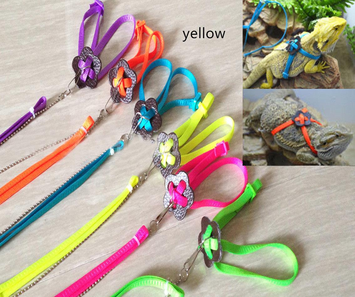 Lizard Climbing Pet Out Leash Lizard Walking - Dog Hugs Cat