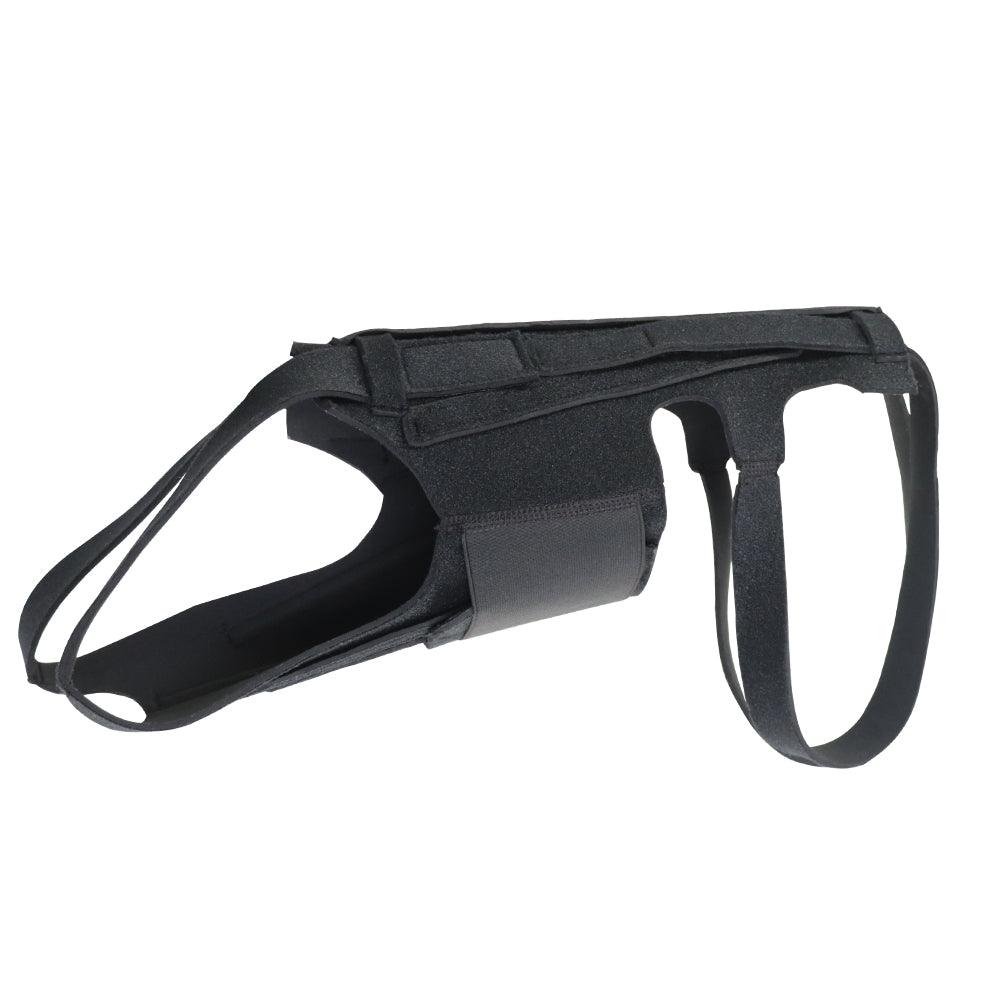 Back Brace For Dogs With Ivdd, Arthritis, Back Pain, Surgical Recovery And Rehabilitation, Dachshund Back Pain Relief, Ivdd Harness - Dog Hugs Cat