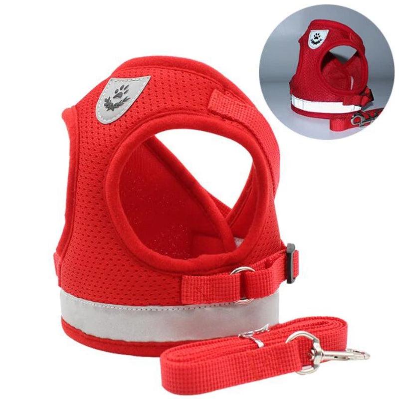 Reflective And Breathable Pet Harness - Dog Hugs Cat