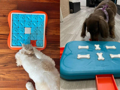 10 Best Dog Puzzle Toys: Engage Your Pup with Entertaining Challenges - Dog Hugs Cat