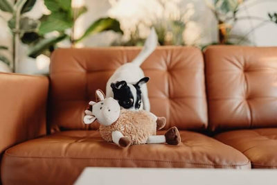 10 Best Dog Stuffed Animals for Dogs - Enhance Playtime and Comfort - Dog Hugs Cat
