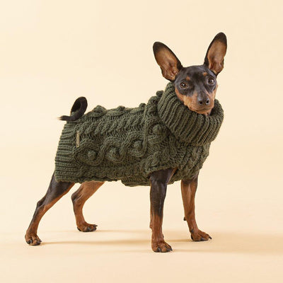 11 Best Chihuahua Sweaters: Stylish, Cozy Picks for Your Tiny Pup - Dog Hugs Cat