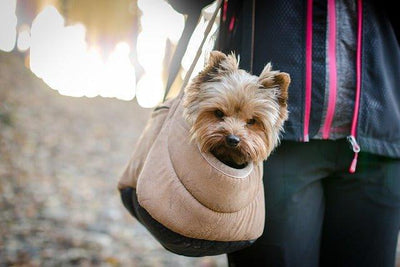 11 Best Dog Purse Carriers: Stylish & Functional Picks for Pet Parents - Dog Hugs Cat