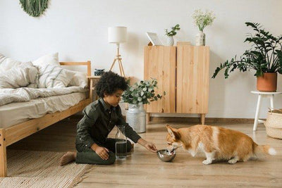 11 Best Dog Water Bowls for Hydrated and Happy Pups | Top Picks 2023 - Dog Hugs Cat