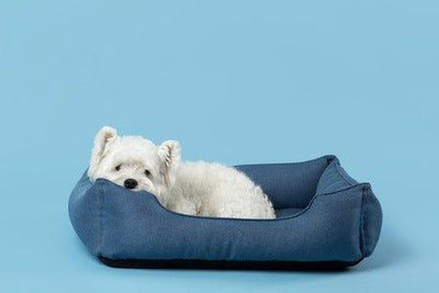 11 Best Tough Dog Beds: Durable Options for Your Pet - Dog Hugs Cat