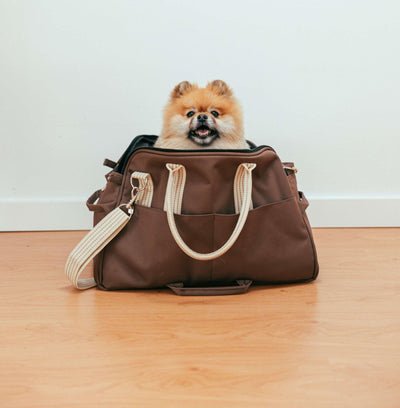 15 Best Dog Poop Bags for Clean and Hassle-Free Cleanup - Dog Hugs Cat