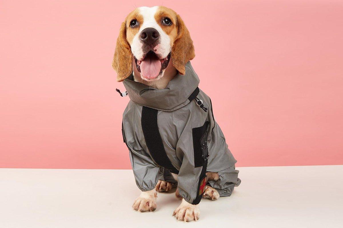 3 Best Dog Rain Jackets: Stay Dry in Style with Waterproof Pet Coats - Dog Hugs Cat