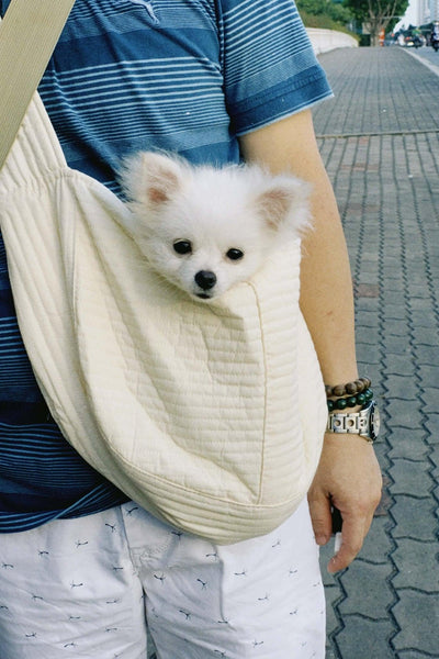 5 Best Dog Sling Carriers for Comfortable and Stylish Pet Transport - Dog Hugs Cat
