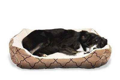 5 Best Giant Dog Beds: Comfort, Size, and Style Guide for Large Breeds - Dog Hugs Cat