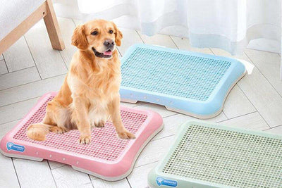 6 Best Potty Pads for Dogs: Finding The Best For Your Furry Friend - Dog Hugs Cat