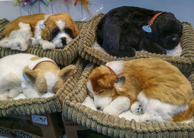7 Best Puppy Beds for Your Furry Friend's Comfort - Dog Hugs Cat