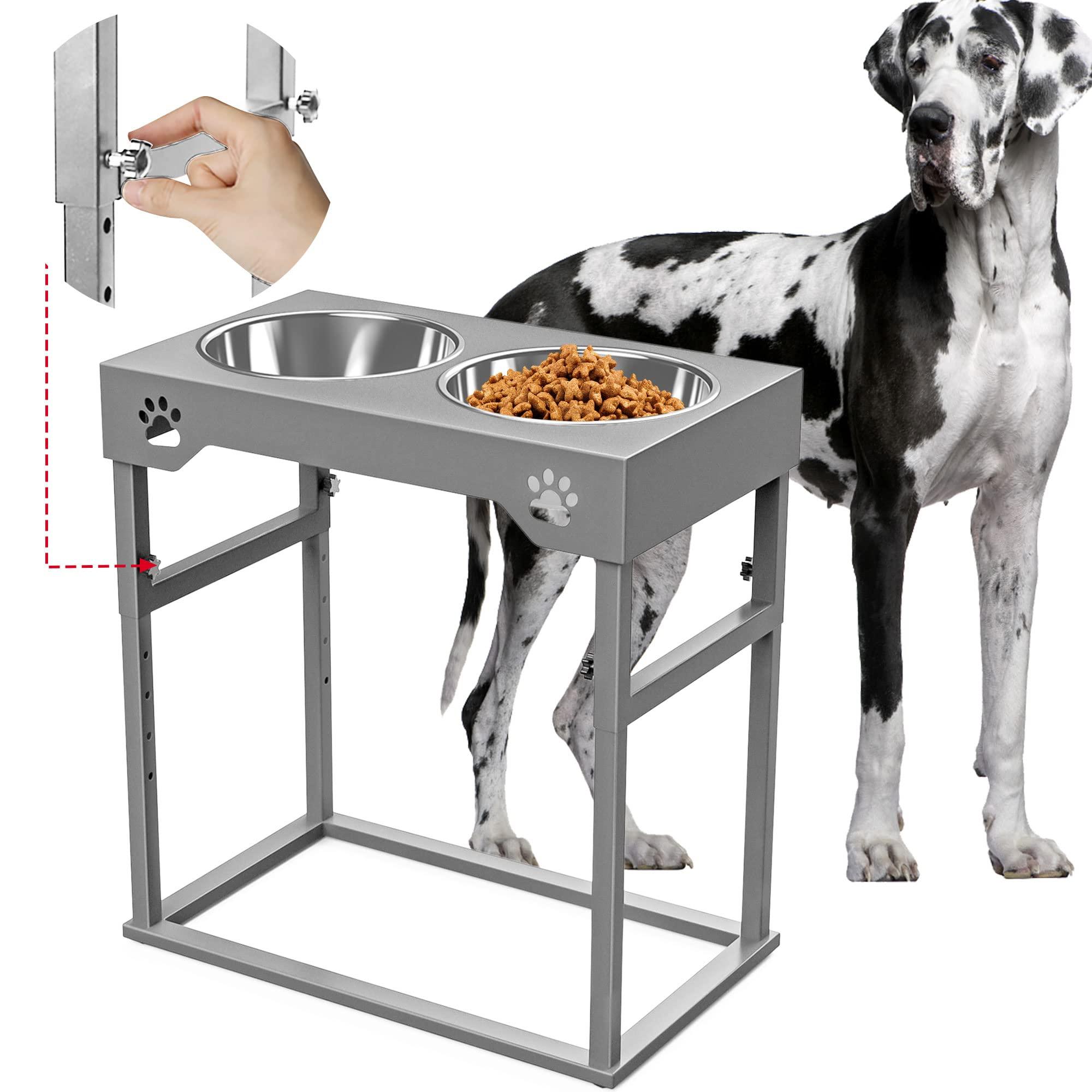 7 Best Raised Dog Feeders: Enhance Your Pet's Dining Experience! - Dog Hugs Cat