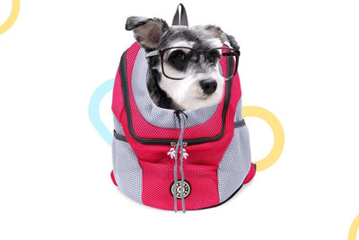 7 Best Small Dog Backpacks to Travel With Your Furry Friend - Dog Hugs Cat