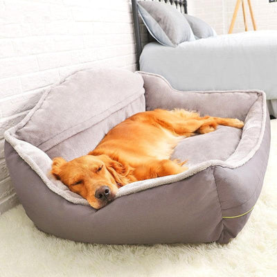 8 Best Dog Beds for Large Dogs: Find Comfy & Spacious Options - Dog Hugs Cat