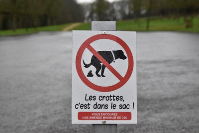 9 Best Poop Bags for Responsible Pet Owners: A Comprehensive Guide - Dog Hugs Cat