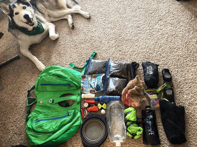 9 Best Puppy Backpacks: Explore Top Picks & Buying Guide - Dog Hugs Cat