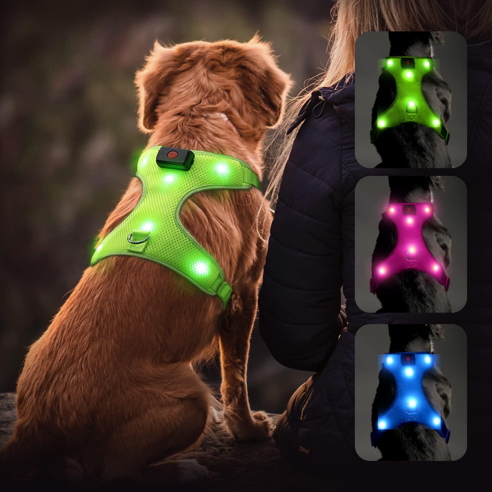 9 Best Reflective Dog Vests for Enhanced Nighttime Safety - Dog Hugs Cat